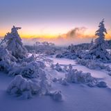 Dichte Wälder, weite Wiesen, unzählige Gipfelkuppen mit eigenem Mikroklima und einer besonderen Artenvielfalt – der Schwarzwald ist eine Welt für sich, die so manchen Dichter zu Erzählungen und Märchen inspirierte. Ein beliebtes Ausflugsziel ist die Hornisgrinde: ein Berg, auf dessen zwei Kilometer langem Rücken sich ein Hochmoor gebildet hat. Auf Spurensuche nach Hermann Hesse können sich Literaturfans im gut 70 Kilometer entfernten Calw begeben. Mit seinem Heimatort blieb der Schriftsteller zeitlebens sentimental verbunden.