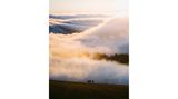 Nebel am Feldberg im Schwarzwald bei Sonnenaufgang