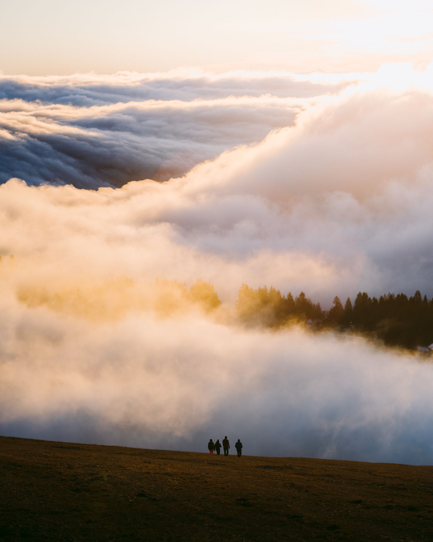 Nebel am Feldberg im Schwarzwald bei Sonnenaufgang