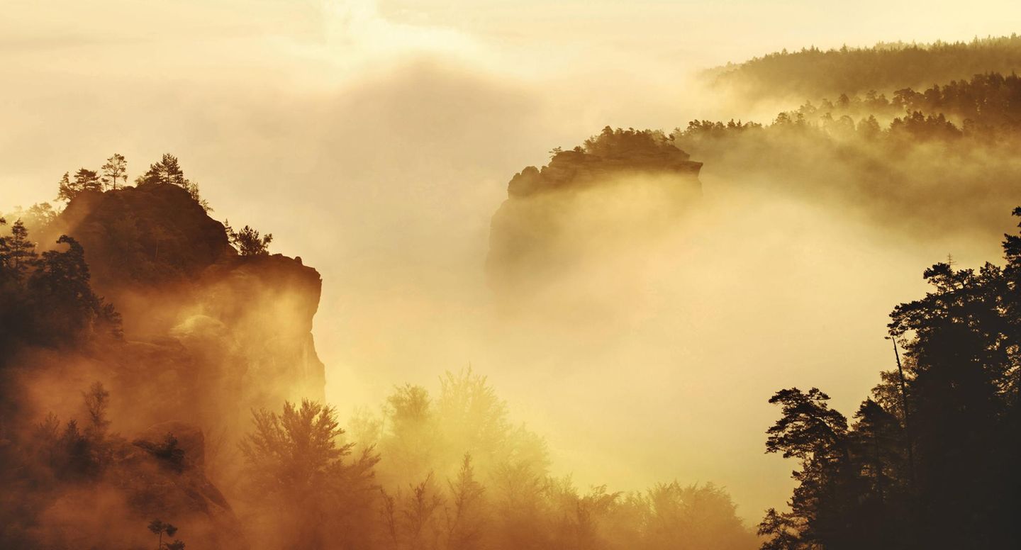 Blick von einer Anhöhe über die im Nebel liegenden Felsen der Sächsischen Schweiz