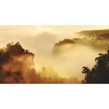 Blick von einer Anhöhe über die im Nebel liegenden Felsen der Sächsischen Schweiz