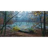 Winterliches Kesselmoor im Müritz-Nationalpark
