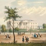 Pferde und Kutschen vor dem Weißen Haus