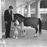 John F. Kennedy und seine Kinder mit einem Pferd am Weißen Haus