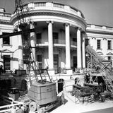 Krähne am Weißen Haus