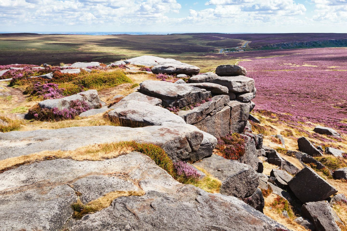 Klimaschützer: die Peak District Moorlands in England Der Blick führt von einem Felsvorsprung hinab auch die lila und grün erblühten Weiten des Peak District National Parks.