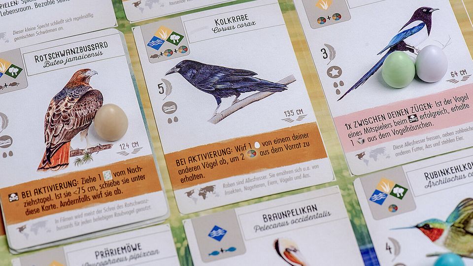 Empfehlungen der Redaktion: Manchmal sind es die sinnfreien Dinge, die ein Spiel auch auszeichnen: wie die verschiedenfarbigen Eier bei "Flügelschlag" Manchmal sind es die sinnfreien Dinge, die ein Spiel auch auszeichnen: wie die verschiedenfarbigen Eier bei "Flügelschlag"