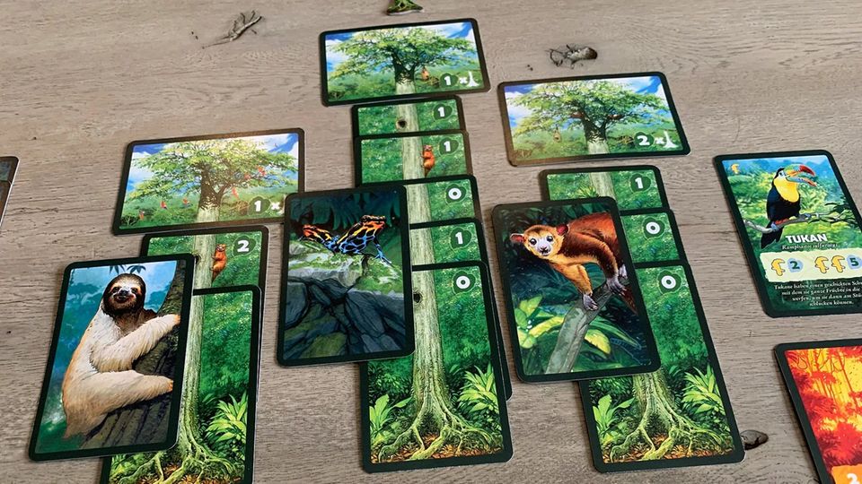 Empfehlungen der Redaktion: Wer lässt den schönsten Regenwald wachsen? "Baumkronen" ist ein Spiel für Zocker Wer lässt den schönsten Regenwald wachsen? "Baumkronen" ist ein Spiel für Zocker