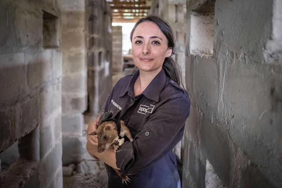 Danielle Giangrasso mit Hamsterratte Danielle Giangrasso mit Hamsterratte