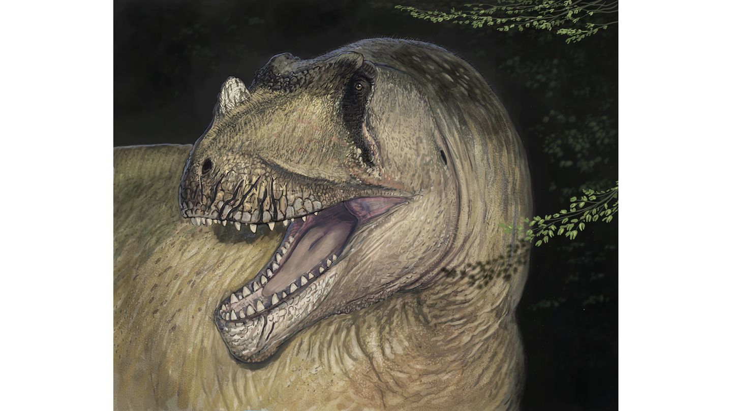So könnte der Raubsaurier Tameryraptor markgrafi ausgesehen haben, der vor rund 95 Millionen Jahren in der nordafrikanischen Kreidezeit lebte