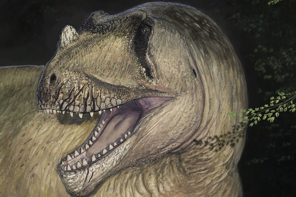 So könnte der Raubsaurier Tameryraptor markgrafi ausgesehen haben, der vor rund 95 Millionen Jahren in der nordafrikanischen Kreidezeit lebte 1.2271