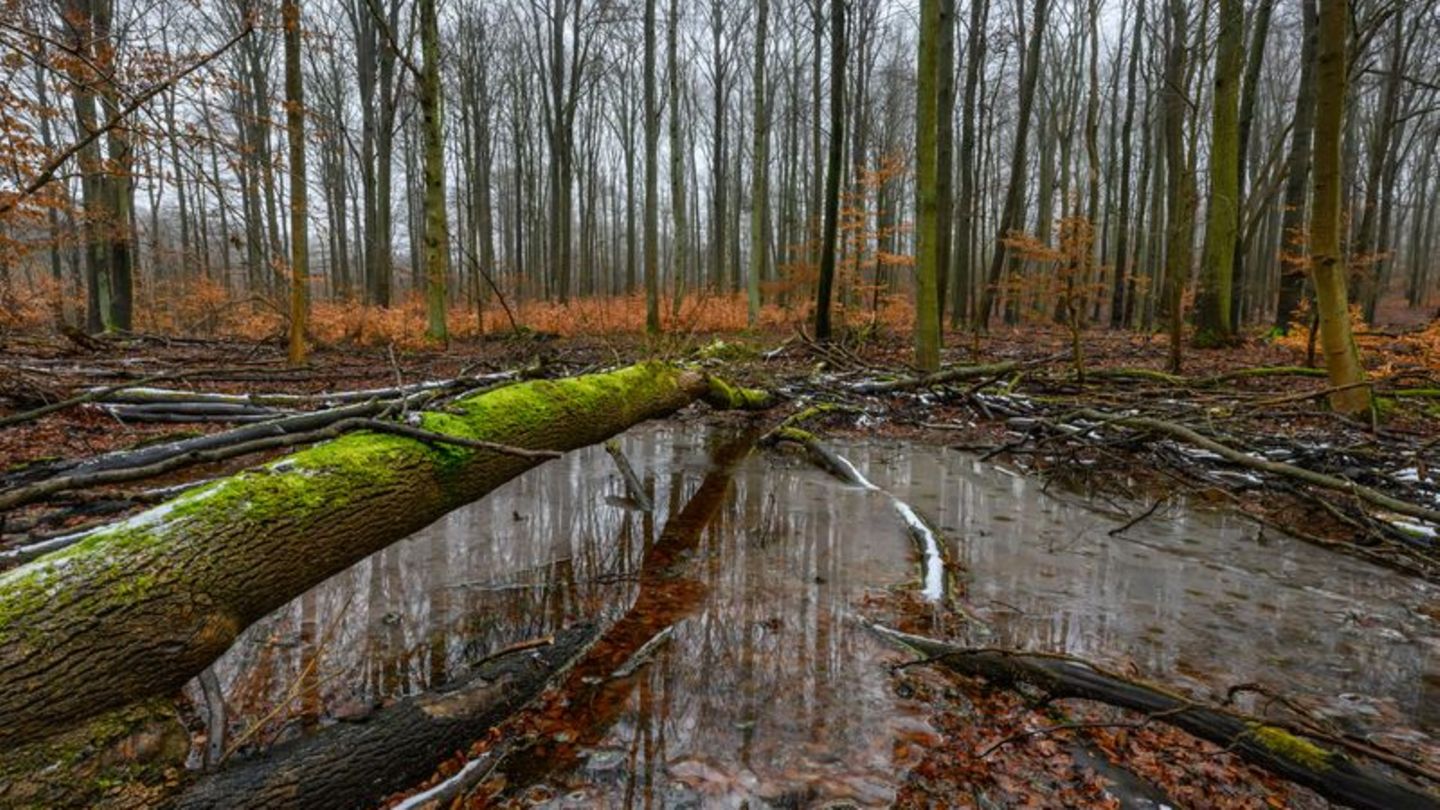 artenvielfalt-erste-deutsche-jugend-naturschutzpreise-vergeben