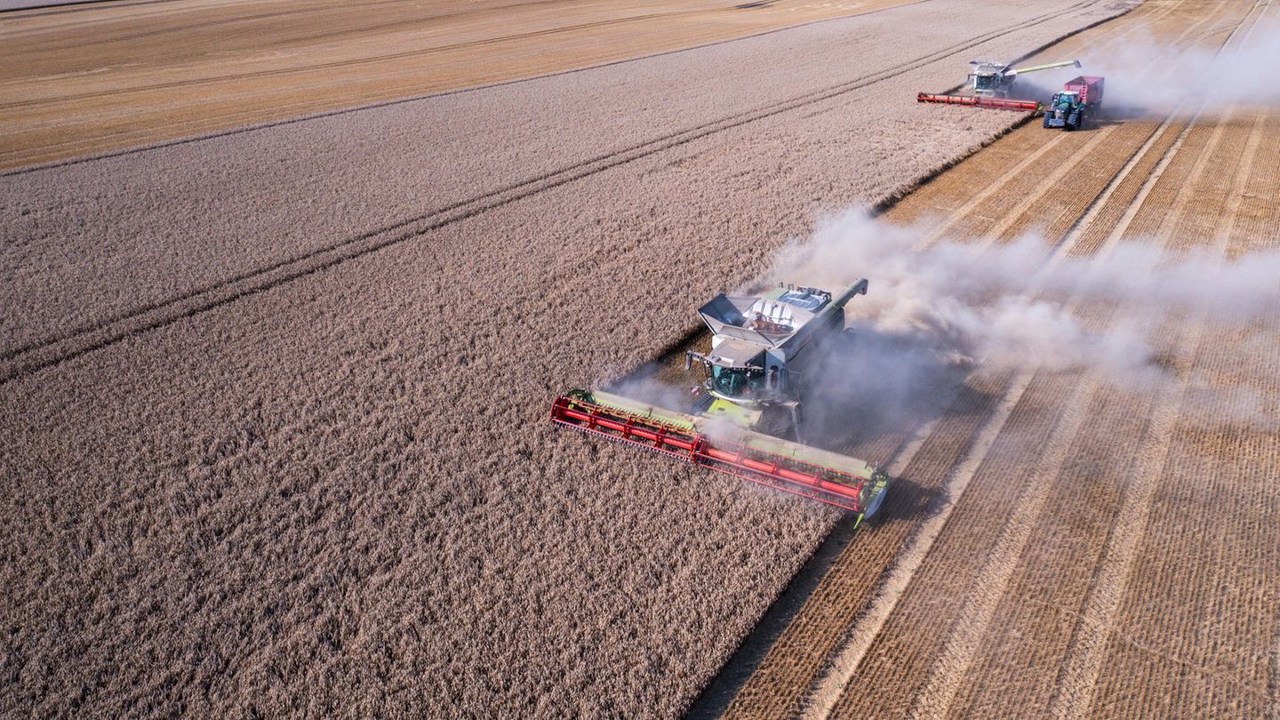 Bauernproteste: "Landgrabbing passiert auch bei uns"