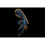 In einer Tiefe von fast 30 Metern unter den Wellen entdeckte der Fotograf Adam Martin den goldenen Schimmer des jungen Fledermausfisches: Die langgezogenen Flossen, mit denen die Jungtiere giftige Plattwürmer imitieren, bilden sich bei den ausgewachsenen Fischen zurück.