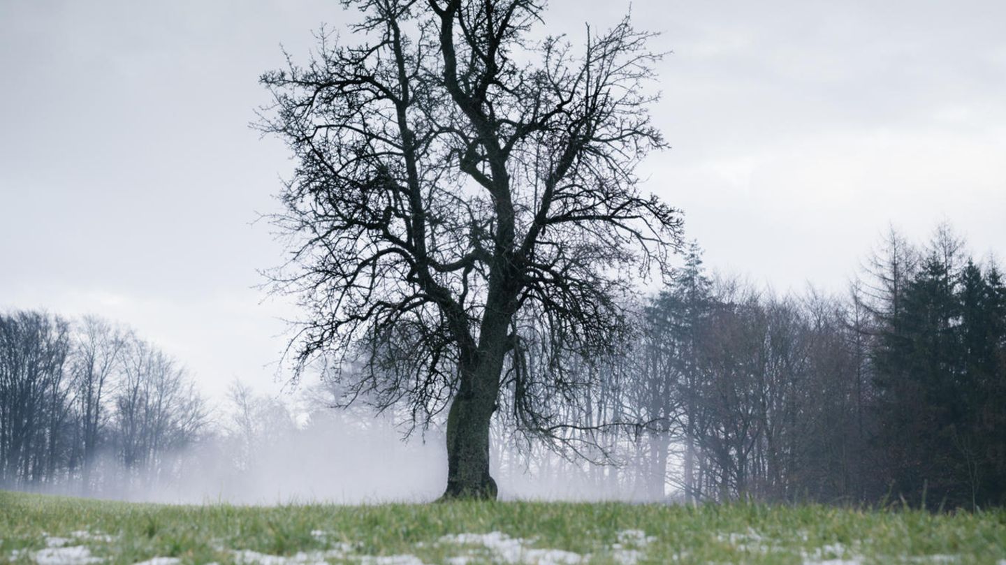 Klimakrise: Früher war mehr Winter: Was es wirklich bedeutet, wenn der Schnee ausbleibt | GEOplus