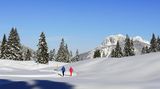 Wanderndes Paar in verschneiter Alpenlandschaft