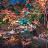 Beleuchtetes Teehaus vor einem romantischen See