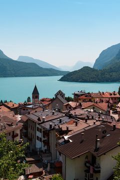 Niederbayern Was Steckt Hinter Den Toten Vögeln Die 3 Nachtragsmeldung Enthüllt Es - glhgmfc