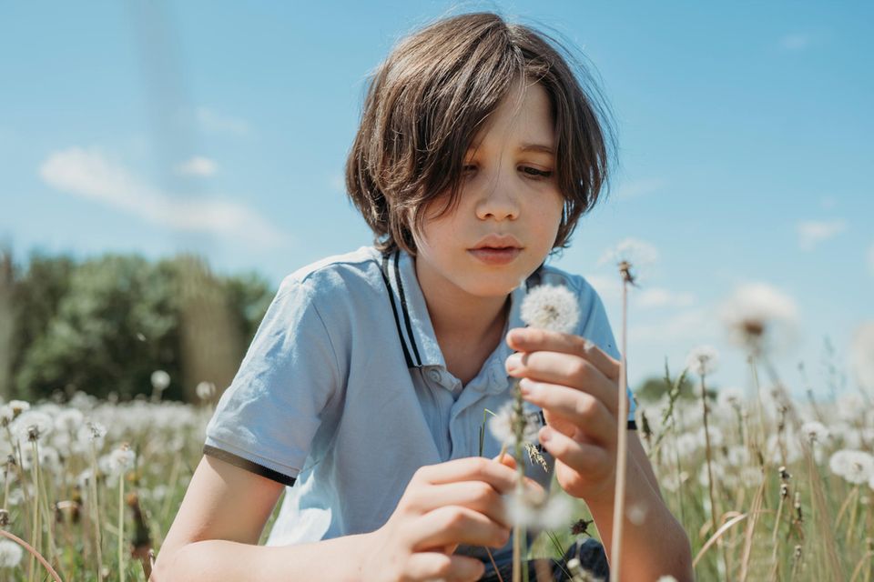 Durch immer neue Sinneseindrücke lernen Kinder, wie die Welt um sie herum beschaffen ist – etwa wie eine Pusteblume aussieht und warum ihre Samen durch die Luft fliegen 1.5026