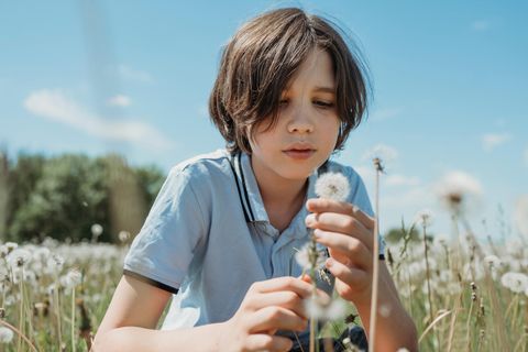 Durch immer neue Sinneseindrücke lernen Kinder, wie die Welt um sie herum beschaffen ist – etwa wie eine Pusteblume aussieht und warum ihre Samen durch die Luft fliegen