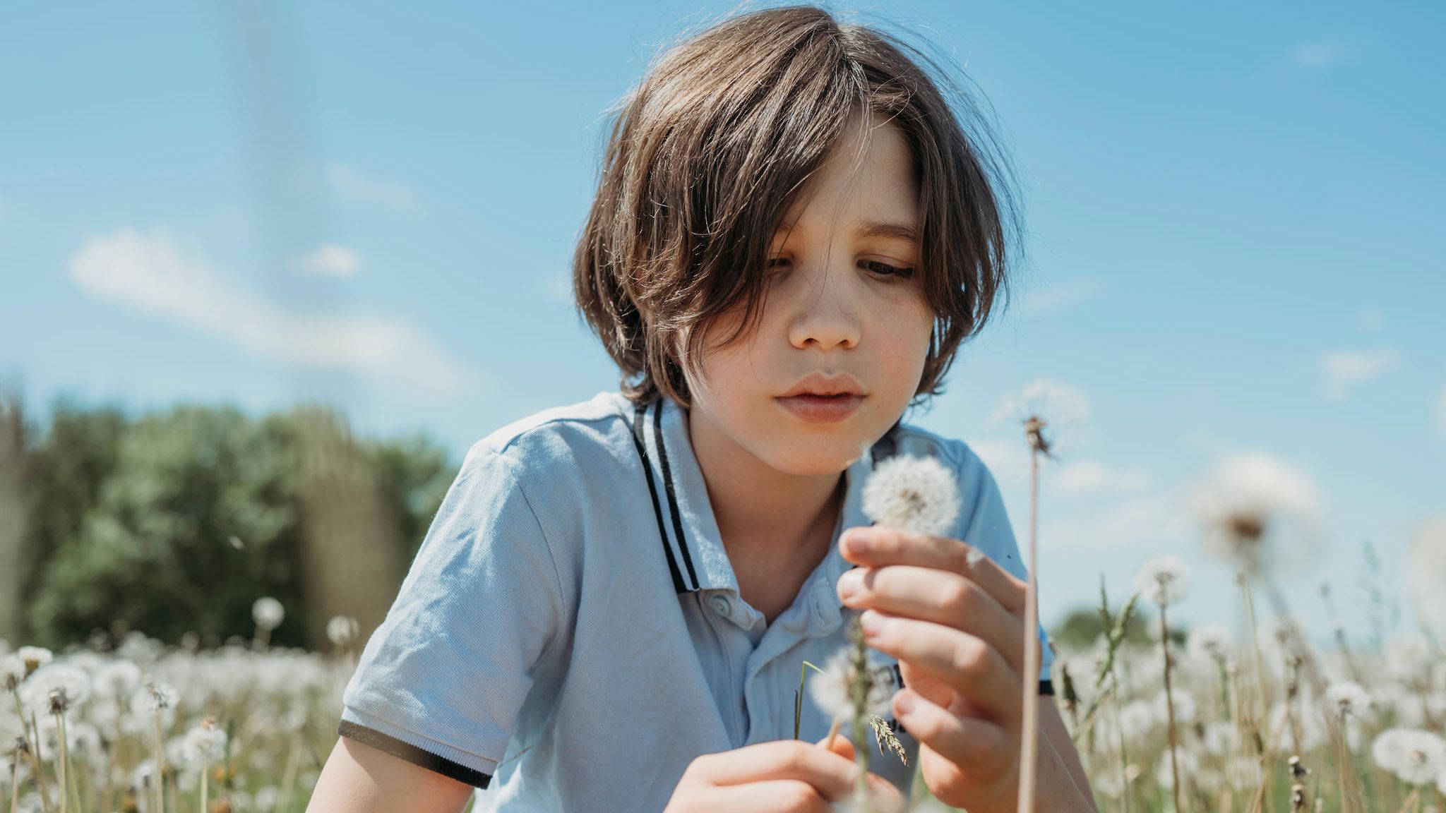 Durch immer neue Sinneseindrücke lernen Kinder, wie die Welt um sie herum beschaffen ist – etwa wie eine Pusteblume aussieht und warum ihre Samen durch die Luft fliegen