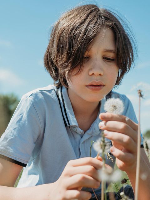Durch immer neue Sinneseindrücke lernen Kinder, wie die Welt um sie herum beschaffen ist – etwa wie eine Pusteblume aussieht und warum ihre Samen durch die Luft fliegen