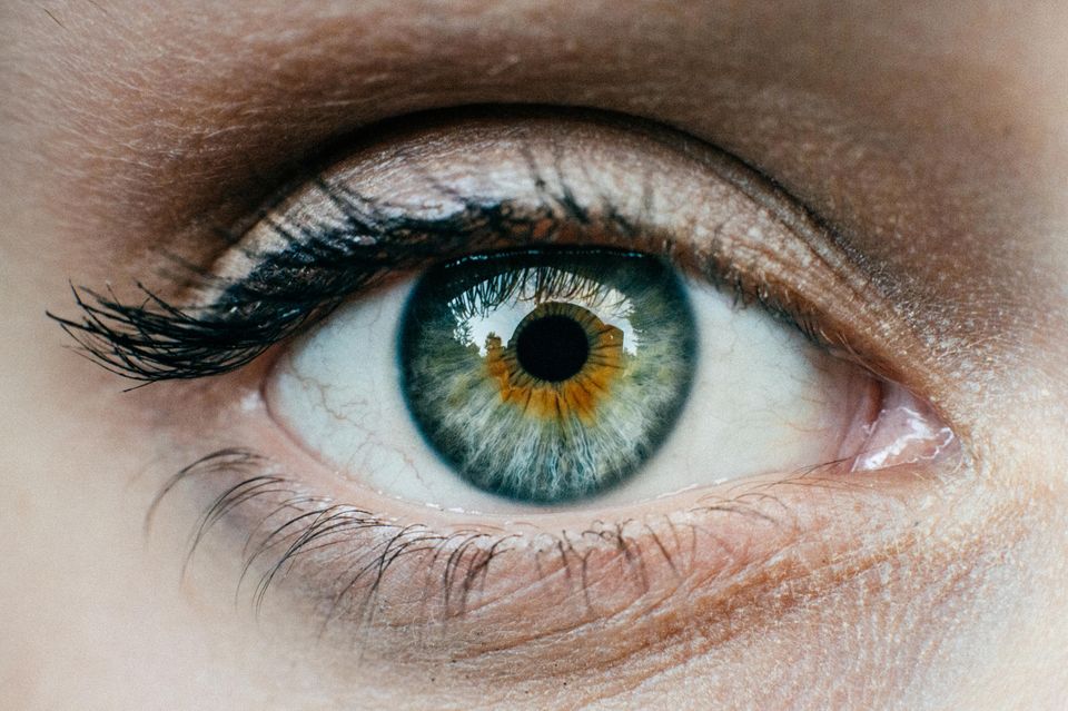 Menschliches Auge mit drittem Augenlid 1.4982