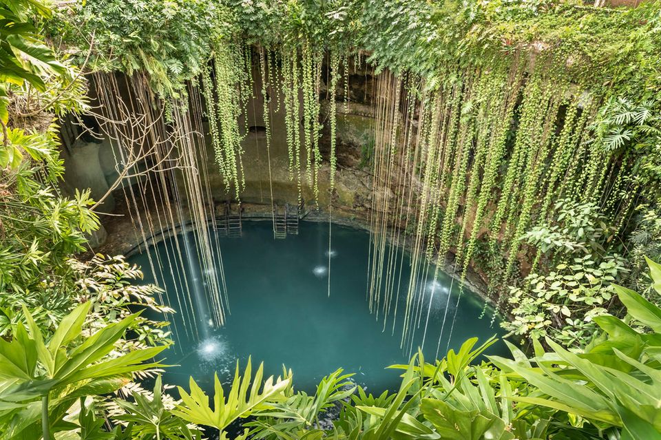 Cenote in Mexiko 1.4982