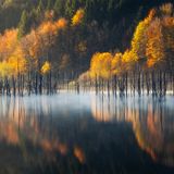 "Der Cuejdel-See in Rumänien ist einer der einzigartigsten und schönsten Orte meines Landes", erklärt der 18-jährige Vlad Paulet zu seinem Foto. Besonders schön sind im Herbst die Farben der Bäume, die sich im See spiegeln. Dazu verleiht der wabernde Nebel dem Bild eine mystische Note. 