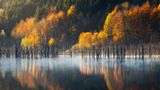"Der Cuejdel-See in Rumänien ist einer der einzigartigsten und schönsten Orte meines Landes", erklärt der 18-jährige Vlad Paulet zu seinem Foto. Besonders schön sind im Herbst die Farben der Bäume, die sich im See spiegeln. Dazu verleiht der wabernde Nebel dem Bild eine mystische Note. 