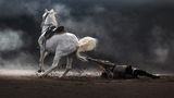 Auf dem windgepeitschten Sand rund um den Mount Bromo, einem der aktivsten Vulkane Indonesiens, kämpft ein Reiter darum, sein Pferd festzuhalten. Für das Volk der Tengger geht es dabei nicht um Sport, sondern ums Überleben. Die unbeirrten Reiter sind ebenso zäh wie ihre Tiere und stellen sich mit ihnen gemeinsam den Herausforderungen des harten Lebens in einer wilden Natur. "Man kann die Kraft in diesem Bild spüren. Ein dynamischer Moment, wunderschön eingefangen", so die Jury über das Gewinnerbild von Fotograf Partha Pratim Roy aus Indien. 