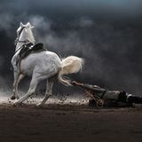 Auf dem windgepeitschten Sand rund um den Mount Bromo, einem der aktivsten Vulkane Indonesiens, kämpft ein Reiter darum, sein Pferd festzuhalten. Für das Volk der Tengger geht es dabei nicht um Sport, sondern ums Überleben. Die unbeirrten Reiter sind ebenso zäh wie ihre Tiere und stellen sich mit ihnen gemeinsam den Herausforderungen des harten Lebens in einer wilden Natur. "Man kann die Kraft in diesem Bild spüren. Ein dynamischer Moment, wunderschön eingefangen", so die Jury über das Gewinnerbild von Fotograf Partha Pratim Roy aus Indien. 