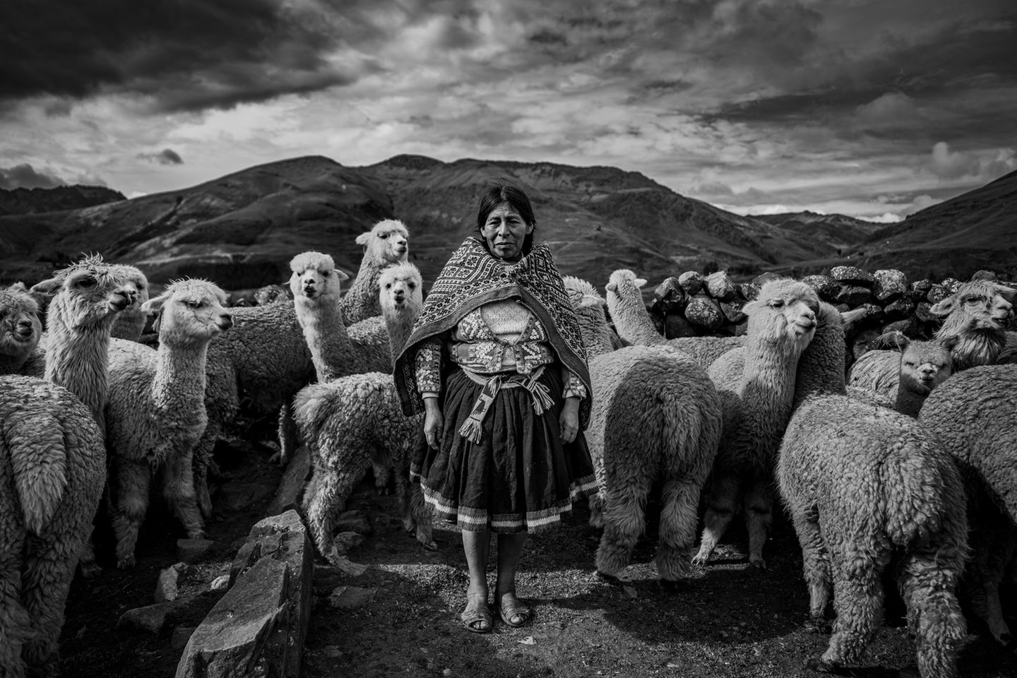 Besonders hervorgehoben in der Kategorie "Reisen in Monochrom" Mit seinem Foto möchte Thibault Gerbaldi die symbiotische Beziehung zwischen Menschen aus den Anden und ihren Alpakas verdeutlichen – eine Bindung, die auf gegenseitigem Vertrauen beruht. In den Fokus rücken will er dabei vor allem die Widerstandsfähigkeit und die Würde der Bauern.