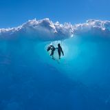 Adeliepinguin-Küken suchen Zuflucht in einem komplizierten Tunnelsystem im Inneren eines Eisbergs. Sie nutzen diese Gänge, um sich vor Raubtieren zu verstecken, und schließen sich aus Sicherheitsgründen zusammen. Die Robben im Wasser unter ihnen warten nur darauf, dass die Küken ins Wasser kommen. Fotograf Scott Portelli gelang ein eindrucksvolles Bild, auf dem nicht nur der besondere Schutzraum, sondern auch der Zusammenhalt der jungen Tiere zu sehen ist. 