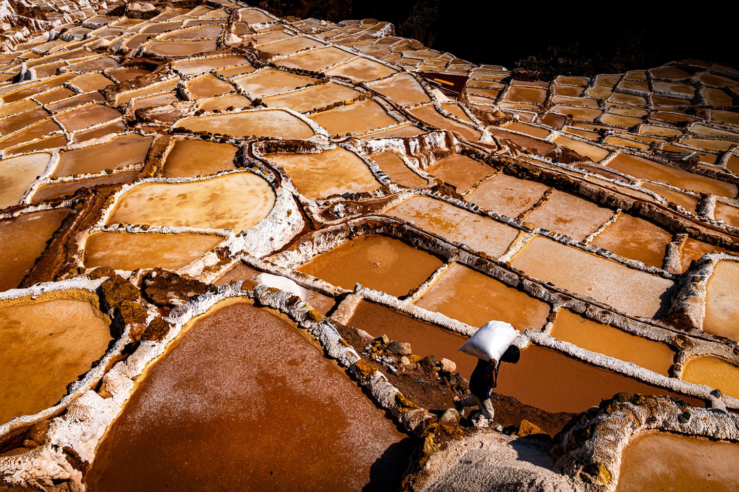 Gewinner der Kategorie "Aufstrebendes Talent" Thibault Gerbaldi aus Frankreich konnte im Fotowettbewerb mit mehreren seiner Arbeiten überzeugen, so auch mit dieser besonderen Aufnahme. Sie soll die Widerstandsfähigkeit der örtlichen Arbeiter in den peruanischen Maras-Salzminen verdeutlichen. Inmitten der leuchtenden Orangetöne der Salzbecken arbeiten sie in den komplizierten Adern des Berghangs und gewinnen die kostbaren Salzkristalle. Das Bild zeigt sowohl die atemberaubende Schönheit der Landschaft als auch die stille Hingabe derer, die daran arbeiten, das Salz aus der Erde zu gewinnen.