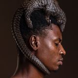 Die perfekte Bildkomposition gelang Mauro de Bettio aus Italien mit diesem Foto. Auf einem geschäftigen Markt in Lagos, Nigeria, steht ein Mann und balanciert stolz ein Schuppentier auf seinem Kopf. Das Tier wurde vor dem illegalen Wildtierhandel gerettet, mit dem in Nigeria viel Geld umgesetzt wird. Schuppentiere werden vor Ort zur Nahrungsgewinnung gejagt und international für traditionelle Medizin und Mode gehandelt. Die Tierart ist deshalb zunehmend gefährdet. Das friedliche Bild symbolisiert damit auch Hoffnung und Widerstand gegen den Handel mit den sanften, schönen Lebewesen. 