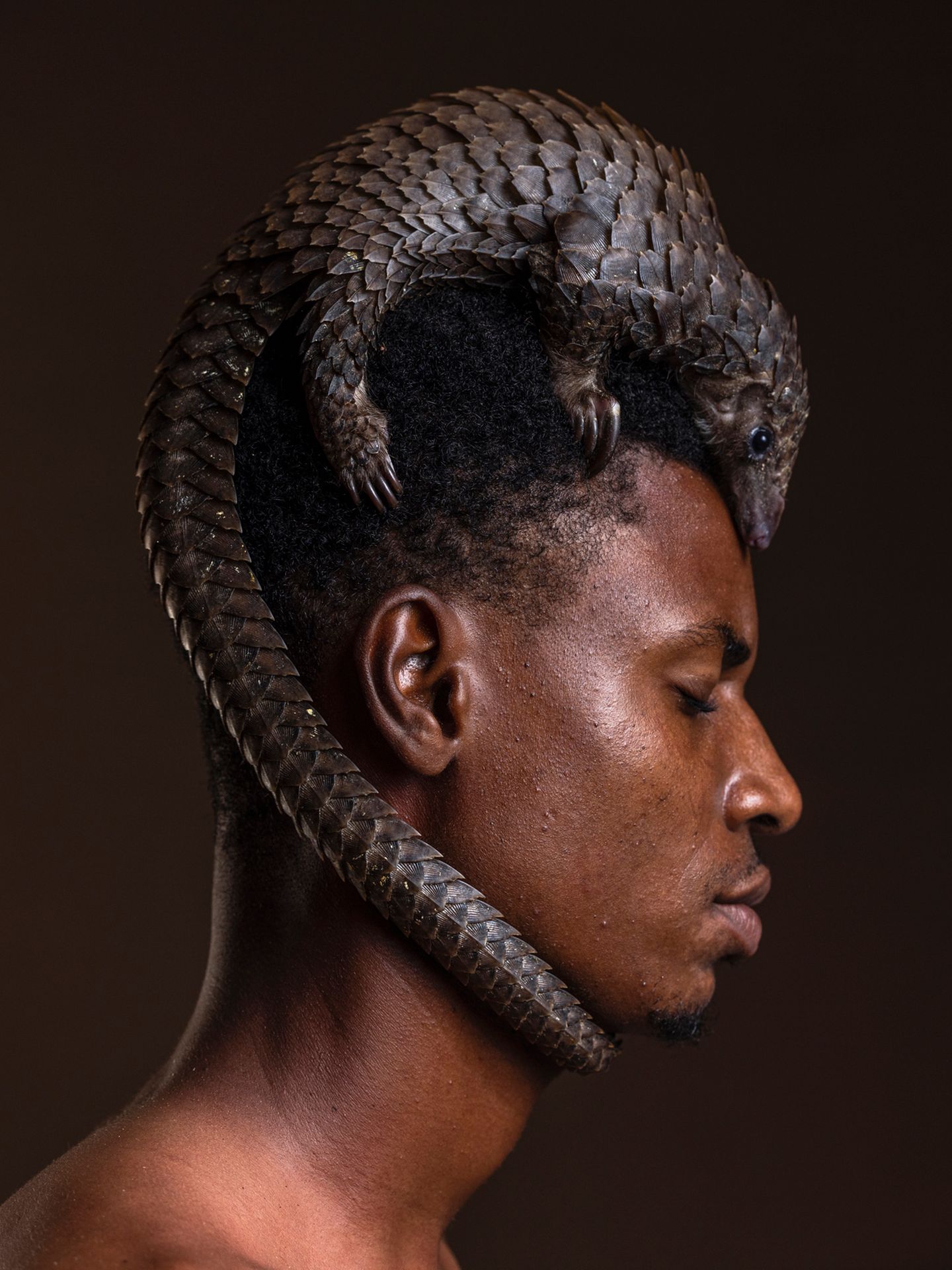 Gewinner in der Kategorie "People's Choice"  Die perfekte Bildkomposition gelang Mauro de Bettio aus Italien mit diesem Foto. Auf einem geschäftigen Markt in Lagos, Nigeria, steht ein Mann und balanciert stolz ein Schuppentier auf seinem Kopf. Das Tier wurde vor dem illegalen Wildtierhandel gerettet, mit dem in Nigeria viel Geld umgesetzt wird. Schuppentiere werden vor Ort zur Nahrungsgewinnung gejagt und international für traditionelle Medizin und Mode gehandelt. Die Tierart ist deshalb zunehmend gefährdet. Das friedliche Bild symbolisiert damit auch Hoffnung und Widerstand gegen den Handel mit den sanften, schönen Lebewesen.