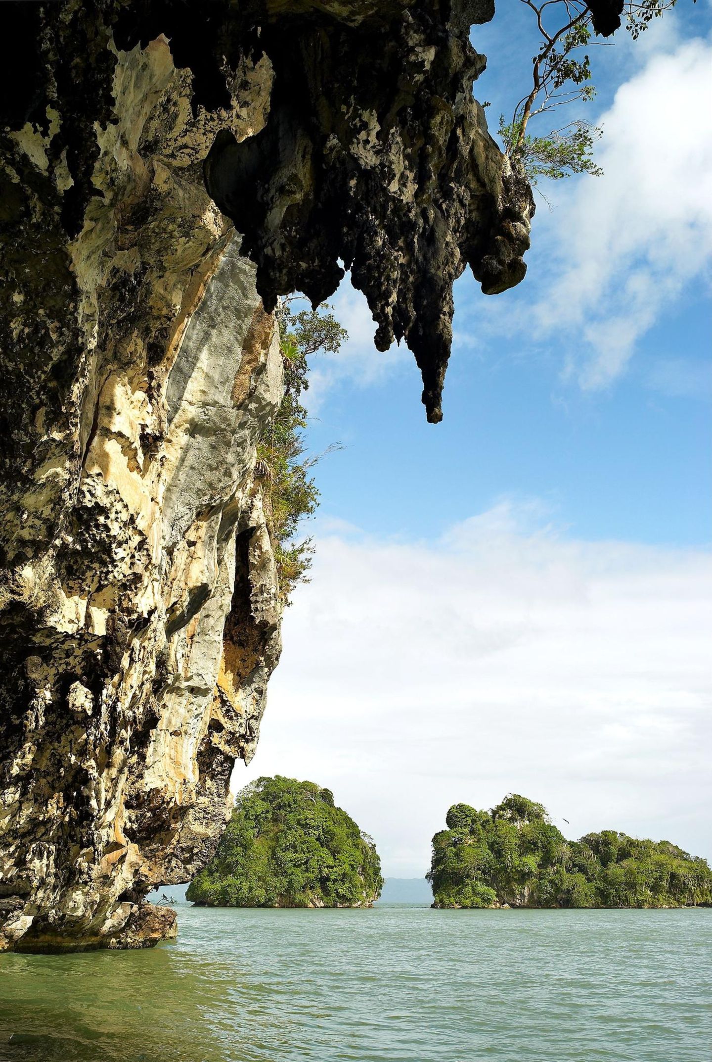 Senkrechte kalkige Wände mit Stalagtiten, bewachsen mit Dschungel, im Wasser