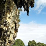 Senkrechte kalkige Wände mit Stalagtiten, bewachsen mit Dschungel, im Wasser