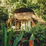 Hütte aus Holz im Wald