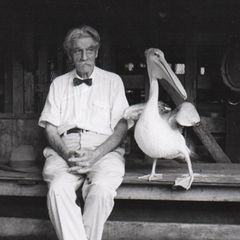Albert Schweitzer pflegte in Lambaréné Umgang mit mehreren Pelikanen, die ihre Scheu vor Menschen abgelegt hatten