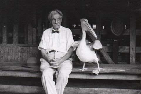 Albert Schweitzer pflegte in Lambaréné Umgang mit mehreren Pelikanen, die ihre Scheu vor Menschen abgelegt hatten