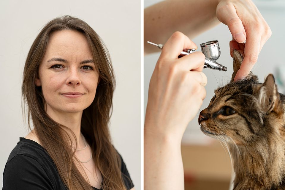 Laura Eberhard verpasst Kater Gustav mit der Airbrush-Pistole den letzten Schliff. Dank zarter Farbakzente wirkt er besonders lebendig 1.4989