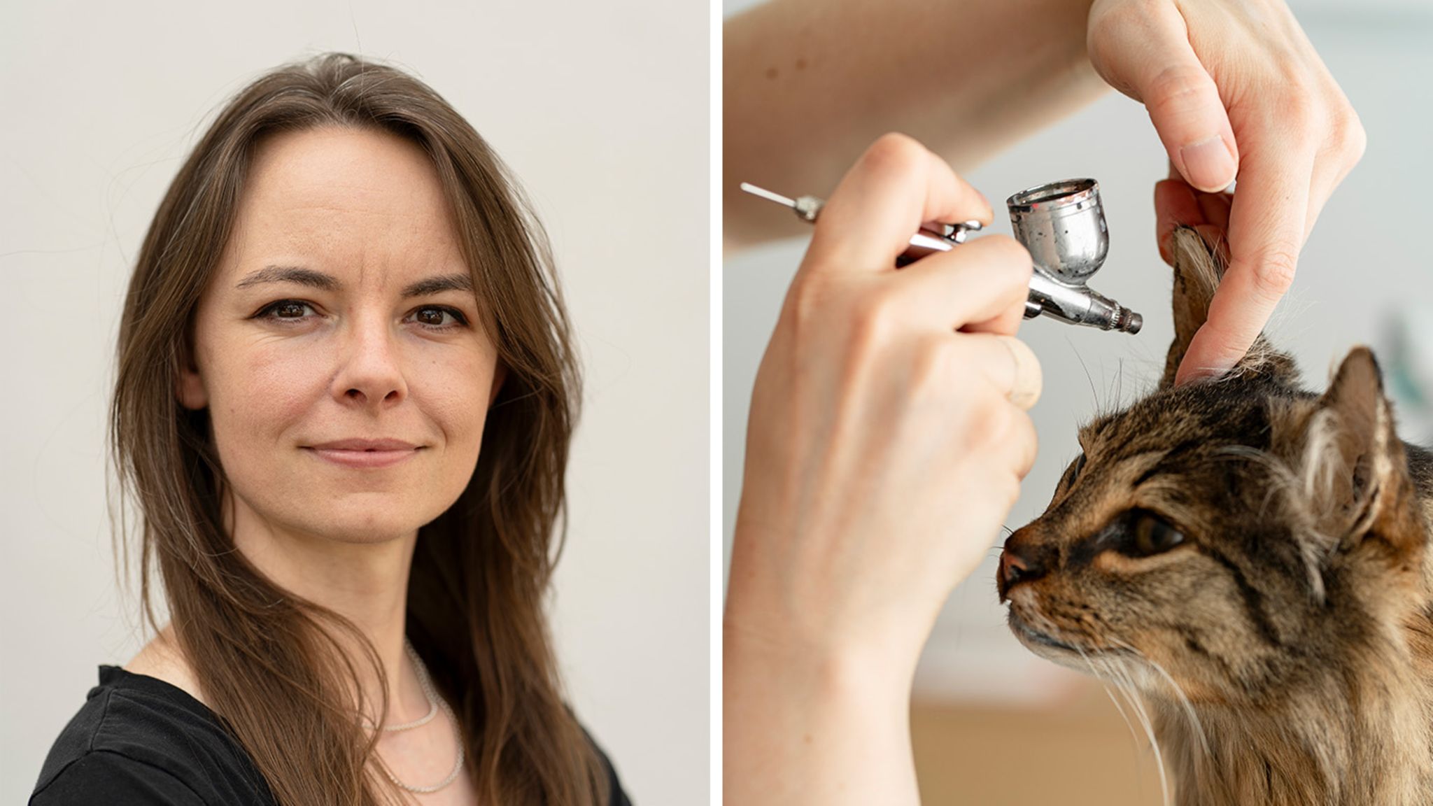 Laura Eberhard verpasst Kater Gustav mit der Airbrush-Pistole den letzten Schliff. Dank zarter Farbakzente wirkt er besonders lebendig