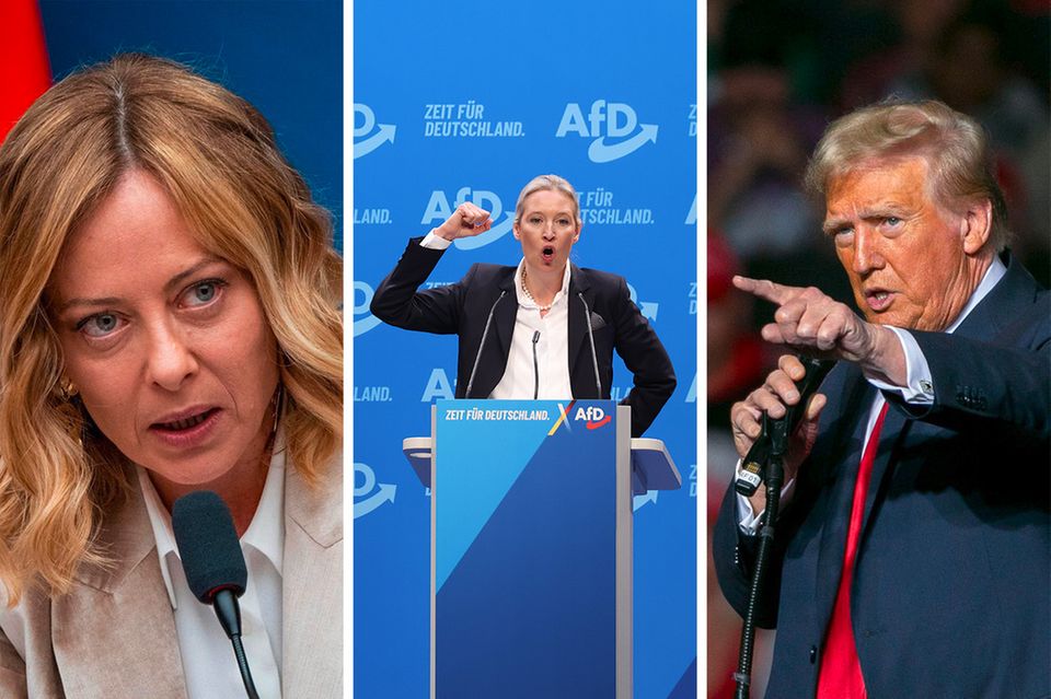 Bild in drei Teilen, von links nach rechts: Giorgia Meloni; Alice Weidel; Donald Trump 1.4989