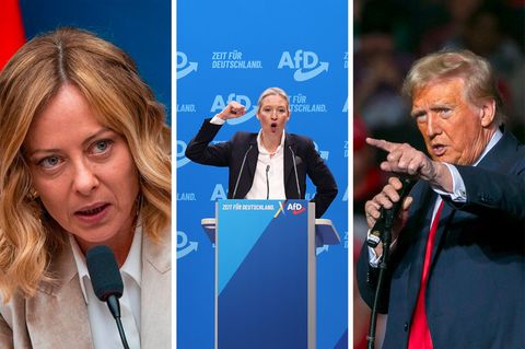 Bild in drei Teilen, von links nach rechts: Giorgia Meloni; Alice Weidel; Donald Trump