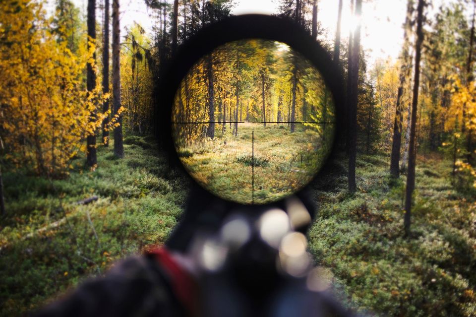 Kann man die Stille des Waldes auch ohne Gewehr genießen? Kann man! 1.5004