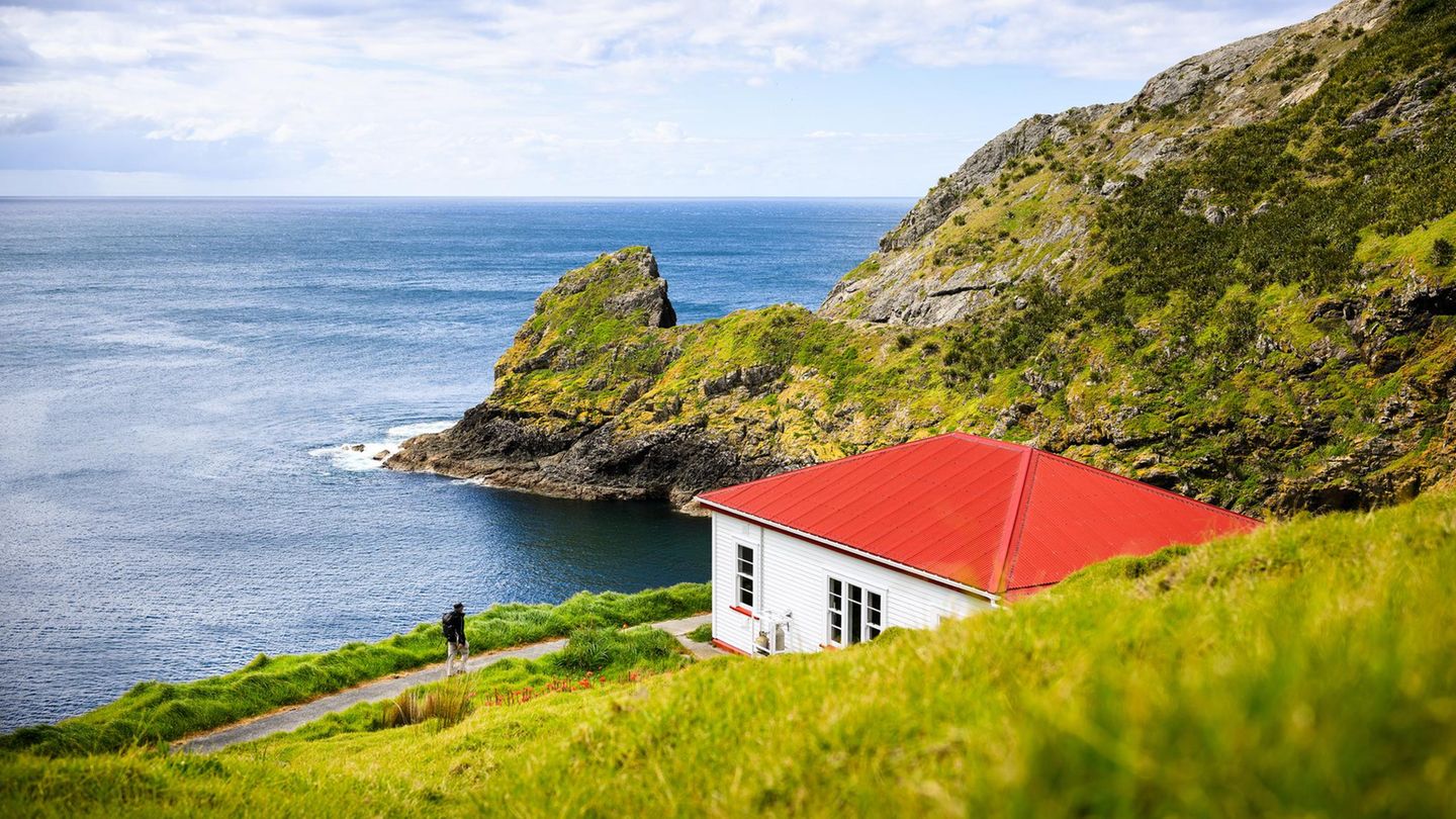 Workation-Unterkunft in Neuseeland bei Cape Brett