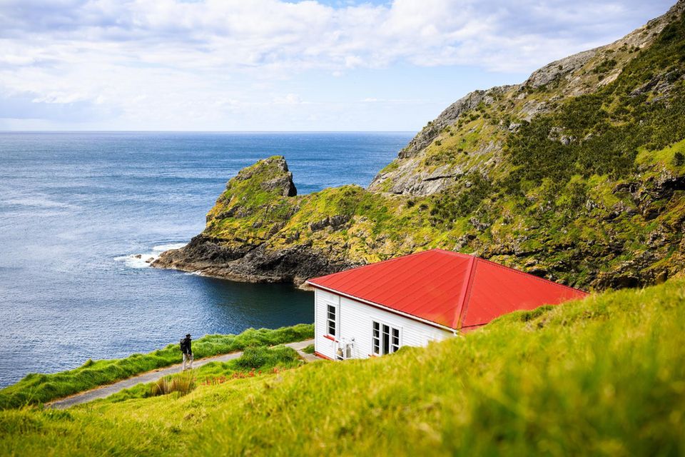 Workation-Unterkunft in Neuseeland bei Cape Brett 1.5901