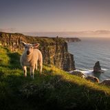 Cliffs of Moher, Irland